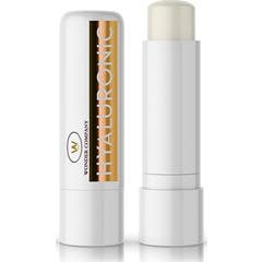 Lr Wonder Company Hyaluronic Miele Barra Labio 1ud