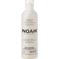 Noah Champô Anti-Amarelamento Extrato de Mirtilo Hair 1.9 250ml