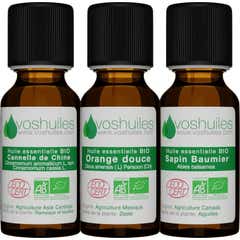 Voshuiles Kit Les 3 Óleos Essenciais Aromas de Natal Bio