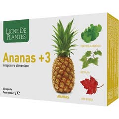 Ligne de Plantes Piña +3 60caps