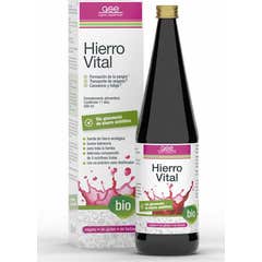 Gse Ferro Vital Bio Vegan 330ml