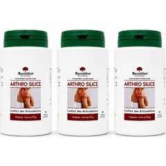 Exceldiet Pharma Arthrosilice 360 Cápsulas