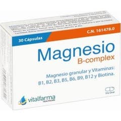 Vitalfarma Magnésio B Complexo 30caps