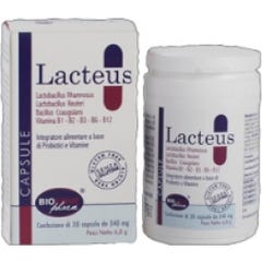 Lacteus 20Cps