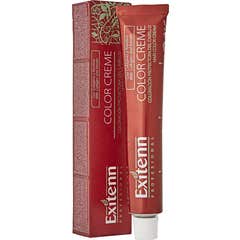 Exitenn Color Crema 11/0.092 60ml