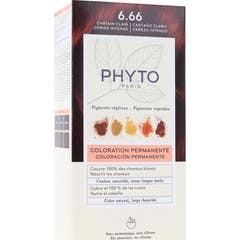Phyto Phytocolor Kit Coloração 6.66 Castanho Claro Cereja Intens