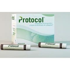 Protocolo 30Fl 25Ml