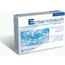 Enterobacilli 10Bust