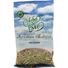 Salicaria Em Planta 50 Gr