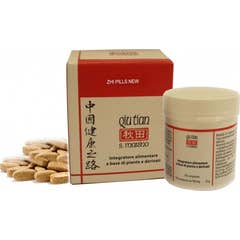 Zhi Pills Novo 100Cpr
