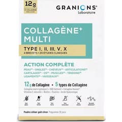 Granions Colagénio Multi Tipo I-Ii-Iii-Vx 260g