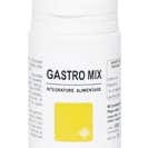 Gastro Mix 90Comp