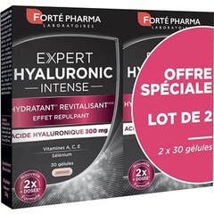 Forte Pharma Expert Hyaluronic 2x30caps Forte Pharma Expert Hyaluronic 2x30caps