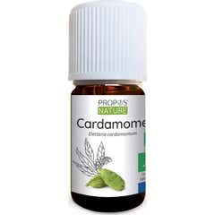 Proposta de Cardamomo de Óleo Essencial Orgânico Natureza 5ml
