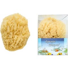 Bebê natural da esponja do aquário de Koronis
