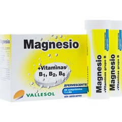 Magnésio Vallesol e 24 vitaminas efervescentes