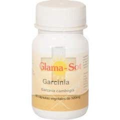 Glama-sot Garcinia Cambogia 500mg 60cáps