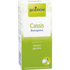 Boiron Cassis Macerado de Glicerina de Cogollos 60ml