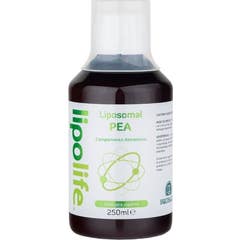Lipolife Lipossomal Pea 250ml