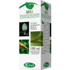 Sangalli Macerado Glicérico de Enebro 100ml