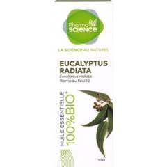 Óleo Essencial Pharmascience Eucalyptus Radiata 10ml