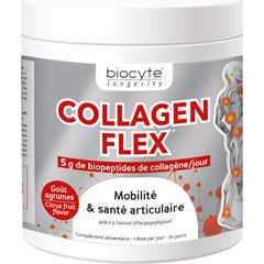 Colágeno Flex Pdr 240G Colágeno Biócito