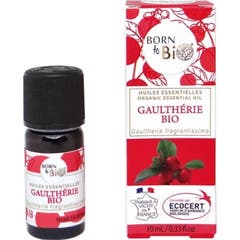 Born To Bio Óleo Essencial Gaultéria Bio 10 ml