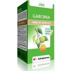 Arkogelules Garcinia Glules 45° Garrafa