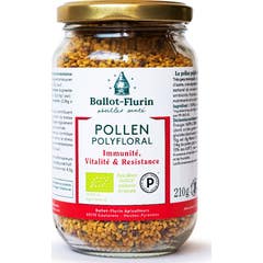 Cédula de Pólen de Flur 210G