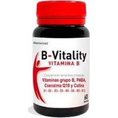 Nutriceuticals Vitalidade B Q10 60caps