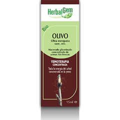 HerbalGem Olivo 50 ml