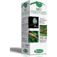 Sangalli Castagno Macerato di Gemme 100ml