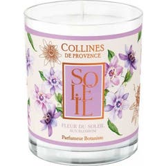 Collines de Provence Vela Perfumada Flor do Sol 180 g