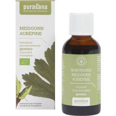 Purasana Hawthorn Gemoterapia 50ml