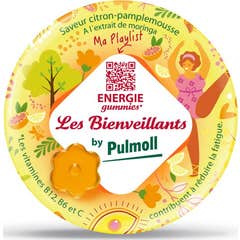 Les Bienveillants Energia Gummies 42 Unidades