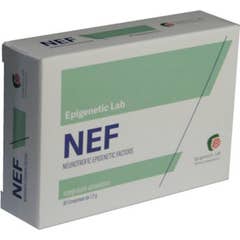 NEF 30comp