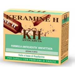 Keramine H Anti-queda 12 frascos de 6 ml