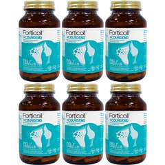 Forticoll Pack Collagen BioActive Pele e Cabelo 6x120comp