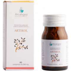 Arcangea Artikol 60comp