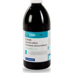 Phytoprevent Eps Blackcurrant Fl 2L