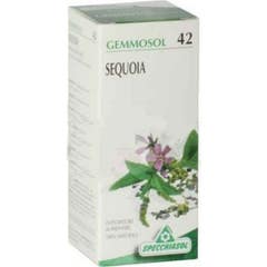 Gemmosol 42 Sequoia 50Ml