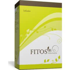 Fitos Plantas Chá N15 Prostata 100g