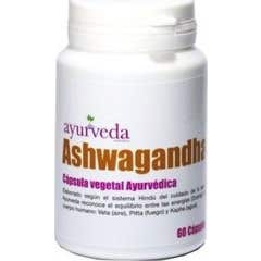 Ashwagandha 60Cap Autêntico Ayurveda