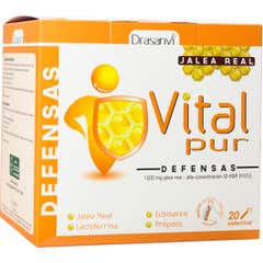 Drasanvi Vitalpur Geleia real defesas 20udsx15ml
