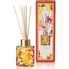 Baija Paris Lost Paradise Ananás Tonka Casa Bouquet 120ml
