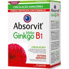 Absorvit Biloba Ginkgo + B1 60comp