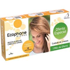 Bailleul-Biorga Ecophane Cpr 60 Lot 3