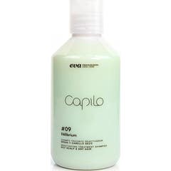 Eva Professional Capilo Ekilibrium Champô 09 300 ml