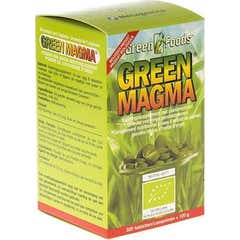 Magma Verde Real Verde 320Tav 120G