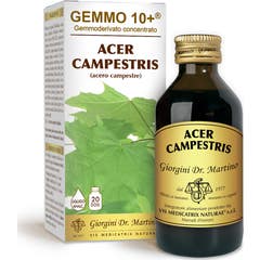 Dr. Giorgini Gemmo 10+ Arce Campestris 500ml